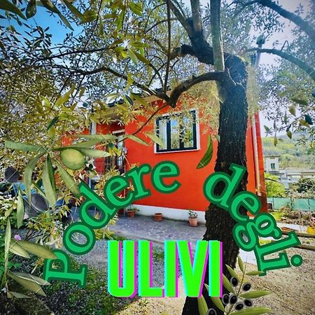 Podere Degli Ulivi Family Villa Serravalle Pistoiese Kültér fotó