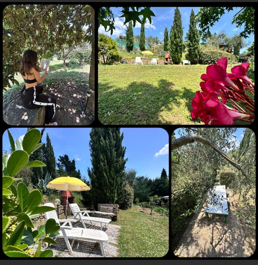 Podere Degli Ulivi Family Villa Serravalle Pistoiese Kültér fotó